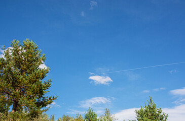 Autumn landscape in the forest. Bakinte sky and mountain view. Forest and nature.