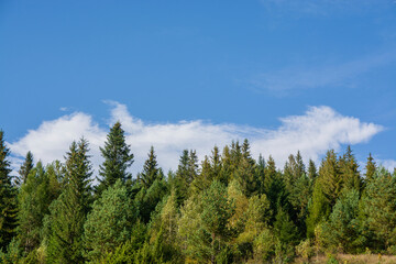 Autumn landscape in the forest. Bakinte sky and mountain view. Forest and nature.