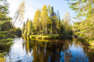 Fototapeta na wymiar Autumn river in the taiga of the Arkhangelsk region, northern Russia