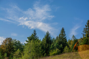 Fototapeta na wymiar Autumn landscape in the forest. Bakinte sky and mountain view. Forest and nature.