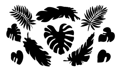 Vector set of black silhouettes of tropical leaves. Collection of exotic leaves of monstera, palm, banana isolated on a white background. vector collection of plant silhouettes