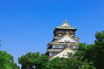 Fototapeta na wymiar 大阪城