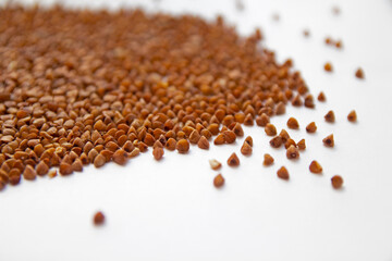 scattered buckwheat, buckwheat,  White background, buckwheat on a white background