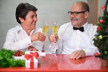 Senior couple celebrating christmas clinking glasses of champagne and smiling. Christmas celebration concept.