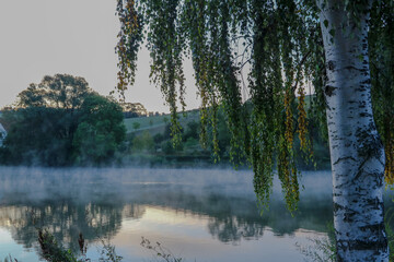 Morgennebel über der Eder