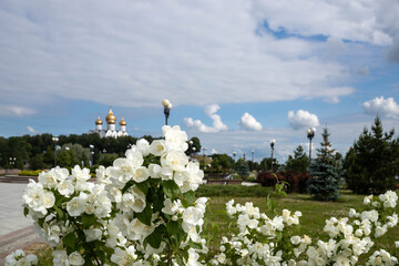 Bright summer day in the Strelka of Yaroslavl