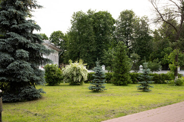 Summer day on the streets of Yaroslavl. The Park on the Tchaikovsky street. After the rain.