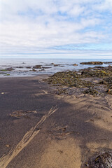 Rocky beach - Durham Heritage Coast