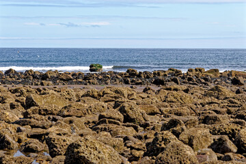 Rocky beach - Durham Heritage Coast
