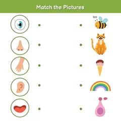 Fotobehang Five senses matching game for kids. Sight, touch, hearing, smell and taste © juliyas