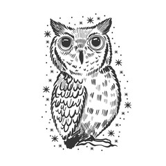 Owl hand drawn sketch. Funny cute bird isolated.
