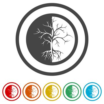 Tree Logo design ring icon, color set