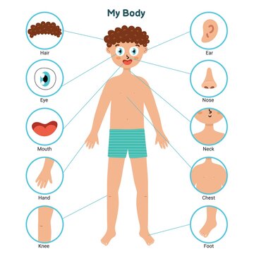 Body parts educational posters with a boy. Learning parts of body