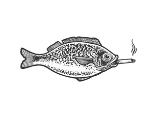 fish smokes a cigarette sketch engraving vector illustration. T-shirt apparel print design. Scratch board imitation. Black and white hand drawn image.