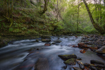 Fototapeta na wymiar A river runs through wooded slopes