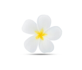 Obraz premium frangimani flower on a white background,isolated