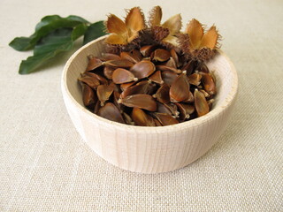 Beechnuts from the European beech in a wooden bowl