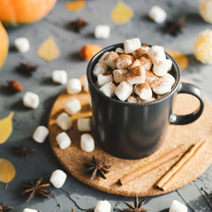 Square photo of hot chocolate with mini marshmallows with cocoa powder served with cinnamon sticks and star anise in a black mug with cork coaster. Autumn dessert