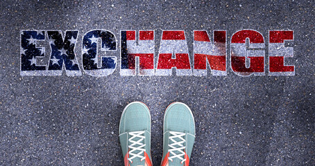 Exchange and politics in the USA, symbolized as a person standing in front of the phrase Exchange  Exchange is related to politics and each person's choice, 3d illustration