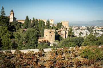 Fototapeta na wymiar Vineyards of the garden of the Alhambra in Granada Spain