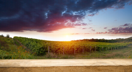 Naklejka na ściany i meble table on the background of ripe vineyards at sunset. empty table space for your products