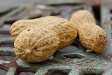 peanuts in shell