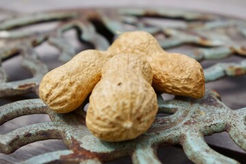 peanuts in shell