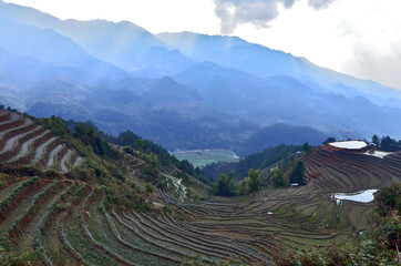Fototapeta na wymiar Rice Terraces in Mu Cang Chai, Vietnam