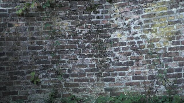 Old grunge brick wall background zoom in