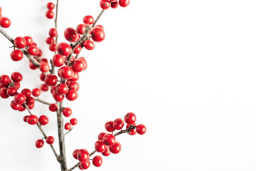 Minimal seasonal composition. Pattern of branch with red berries on isolated white background. Christmas holidays, winter concept. Copy space, top view.
