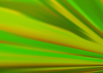 Light Green vector background with straight lines.