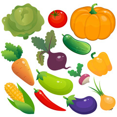 Color image of vegetables on white background. Vector illustration set for kids.