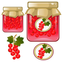 Color image of jar of red currant jam. Berries and fruits. Food and cooking. Vector illustration.