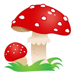 Color image of beautiful fly agaric on white background. Mushrooms. Vector illustration for kids.