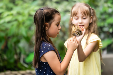 Two little sisters holding a butterfly in their hands. Children exploring nature. Family leisure with kids at summer.