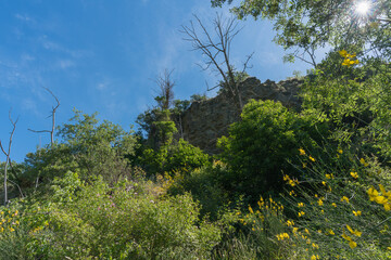 Mountainous landscape covered with vegetation in southern Spain