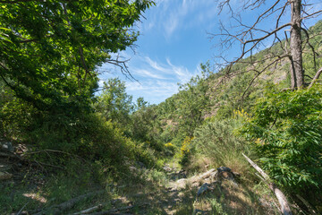 mountainous landscape covered with vegetation in southern Spain