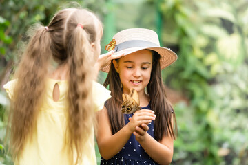 Two little sisters holding a butterfly in their hands. Children exploring nature. Family leisure with kids at summer.