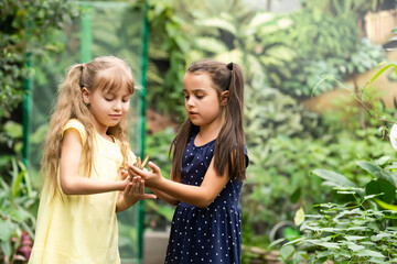 Fototapeta premium Two little sisters holding a butterfly in their hands. Children exploring nature. Family leisure with kids at summer.