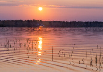 Siverskoe lake at sunset. - 383475545