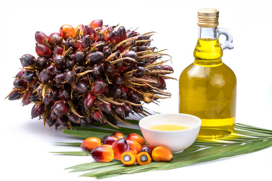 Fresh Palm Oil Fruits And Cooking Palm Oil On A Palm Leaves In Wooden Background