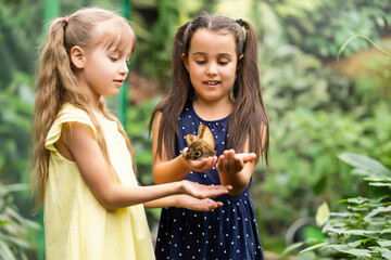 two little girls with butterflies in a greenhouse