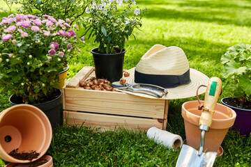 gardening and people concept - garden tools, wooden box and flowers in pots at summer