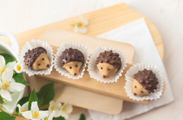 Handmade candy in the form of hedgehogs. A sweet birthday present for the kids