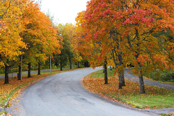 Autumn cityscape with a winding road and trees with red foliage