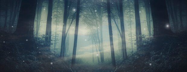 surreal magical forest landscape, high resolution panorama