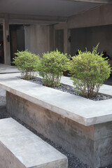 decorative plants for industrial concept for modern living, plants on concrete pot, minimalist design 