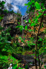 waterfall in the jungle