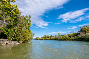 Fototapeta na wymiar Scenic view of river amidst trees