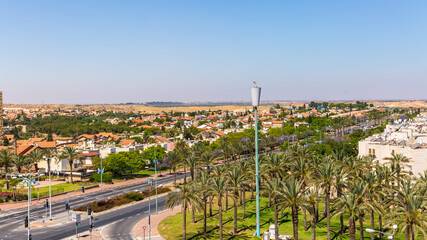 Palm trees on a crossroad in Beersheba